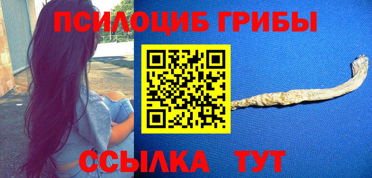 Галлюциногенные грибы Psilocybe Борисоглебск